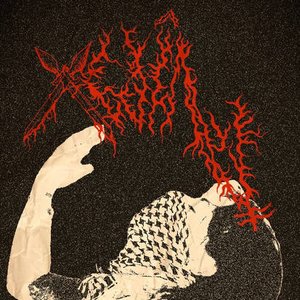 Xwîn 的头像