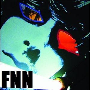 “FNN-FNN”的封面