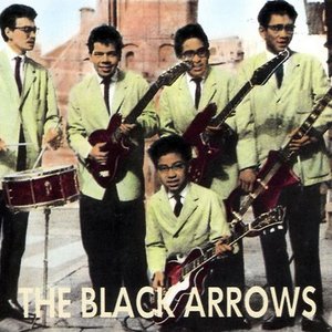 Image for 'The Black Arrows'