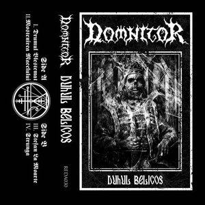 Domnitor 的头像