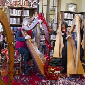 Avatar di The New England Irish Harp Orchestra