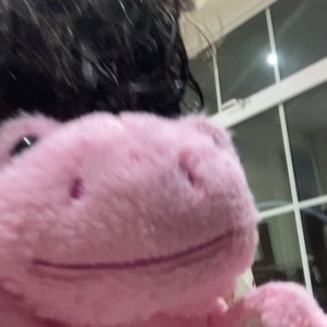 icypad 的头像