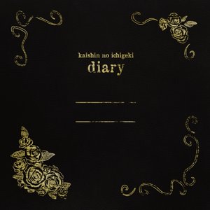 diary