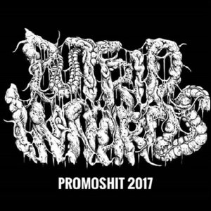 Promoshit 2017
