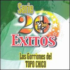 Serie 20 Exitos