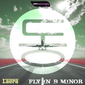 Fly In B Minor
