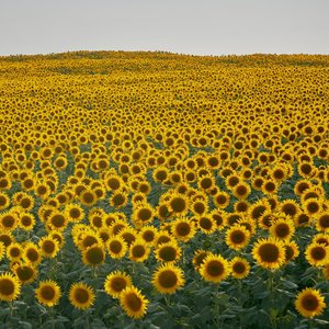 Catlover EP : CatLove