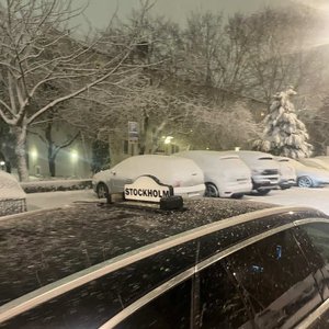 coldest nights