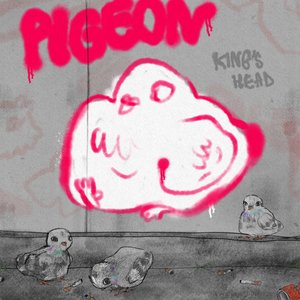 Pigeon
