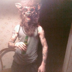 “Andy Animal”的封面