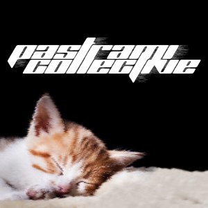 Avatar for The Pussy Collective