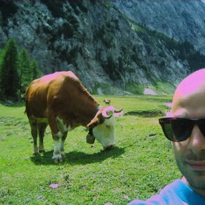 Digi G'Alessio 的头像