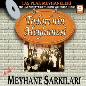 Taş Plak Meyhaneleri, Vol. 9 (Todori'nin Meyhanesi)