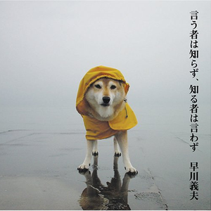 天使の遺言 早川義夫 Lyrics Song Meanings Videos Full Albums Bios 天使の遺言 早川義夫 Lyrics Song Meanings Videos Full Albums Bios