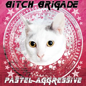 Image for 'Pastel Aggressive'