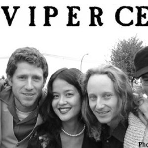 Viper Central 的头像