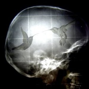 VYGR & Bassador 的头像