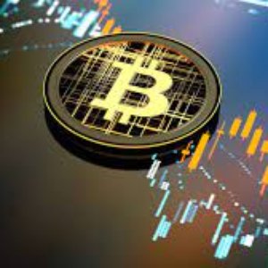 Crypto News 的头像