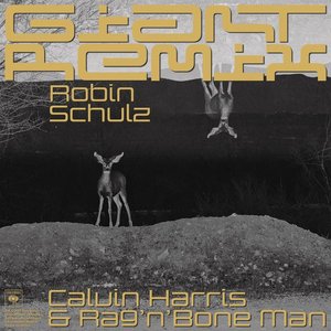 Giant (with Rag'n'Bone Man) [Robin Schulz Remix]