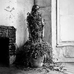 Everything is Trauma or Allegory
