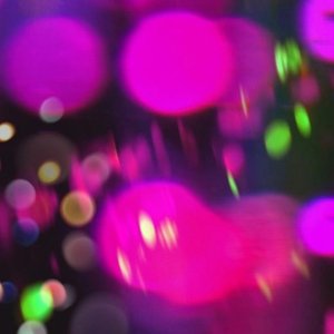 get ready for the cocoon! - Single