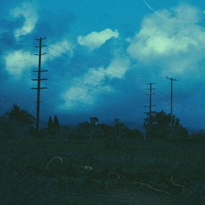 Collar - Single