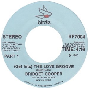 (Get Into) The Love Groove