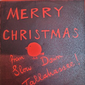 Merry Christmas From Slow Down Tallahassee!