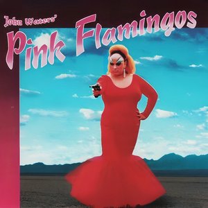 Pink Flamingos
