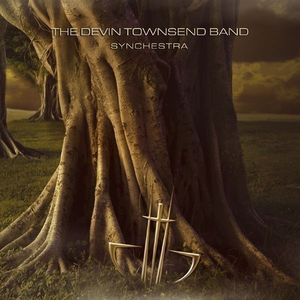 Synchestra cover