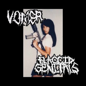 split w VOMER