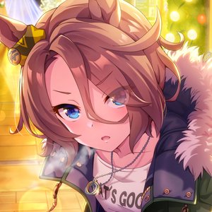 Avatar for ナリタタイシン(CV.渡部恵子)
