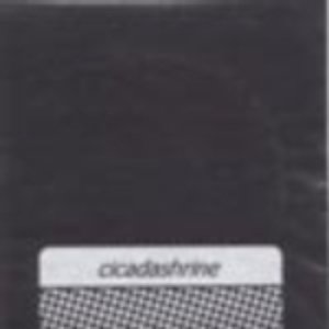 Cicadashrine 的头像