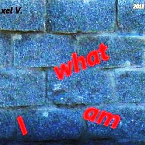 what i am 2011
