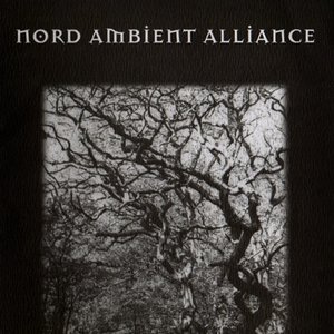 nord ambient alliance