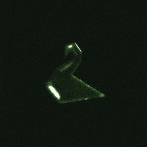 Swan