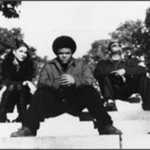 Bass Is Base photo provided by Last.fm