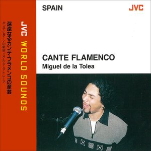 JVC WORLD SOUNDS <SPAIN> CANTE FLAMENCO