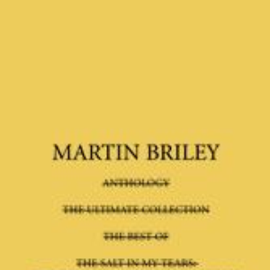 Martin Briley - Salt In My Tears The Complete Mercury Masters - Zortam Music