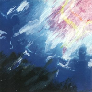 Total Life Forever [Disc 2]