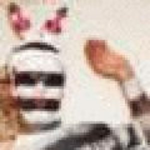 verystripeyzebra 的头像