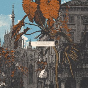 Live at dunk!festival 2024