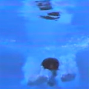 softcomfort柔らかい慰め