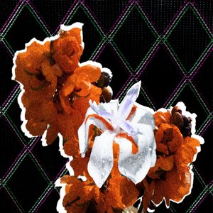 Petals - Single