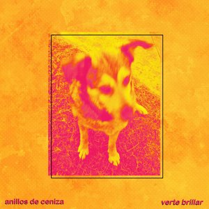 Verte Brillar