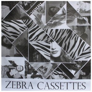 Zebra Cassettes 的头像