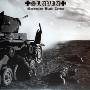 Norwegian Black Terror