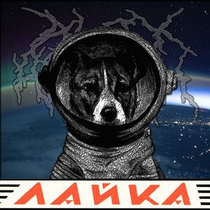 Л​а​й​к​а