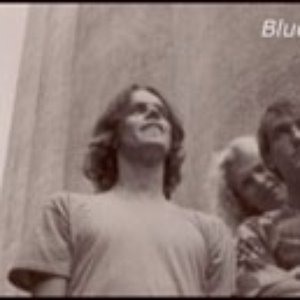 Blue Chameleon 的头像