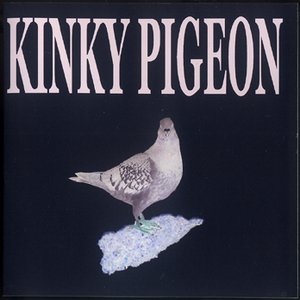 Avatar for The Kinky Pigeon